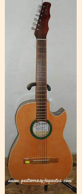 Guitarra Rockera modelo ETE imagen 1